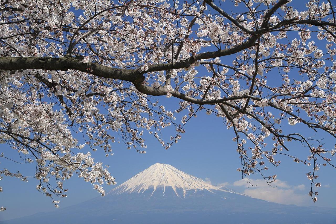 Business Hotel Sunpu Shizuoka Esterno foto