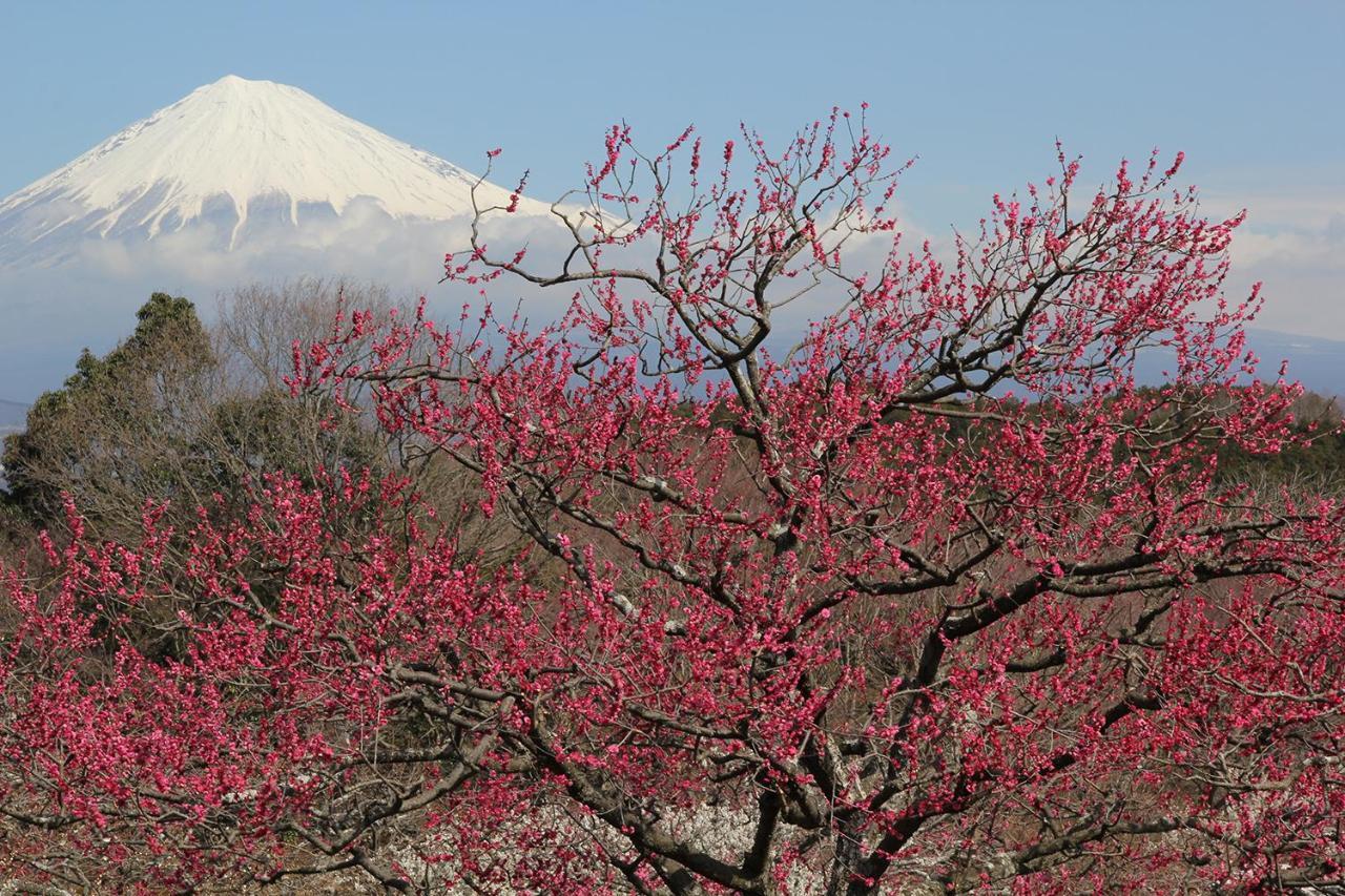 Business Hotel Sunpu Shizuoka Esterno foto