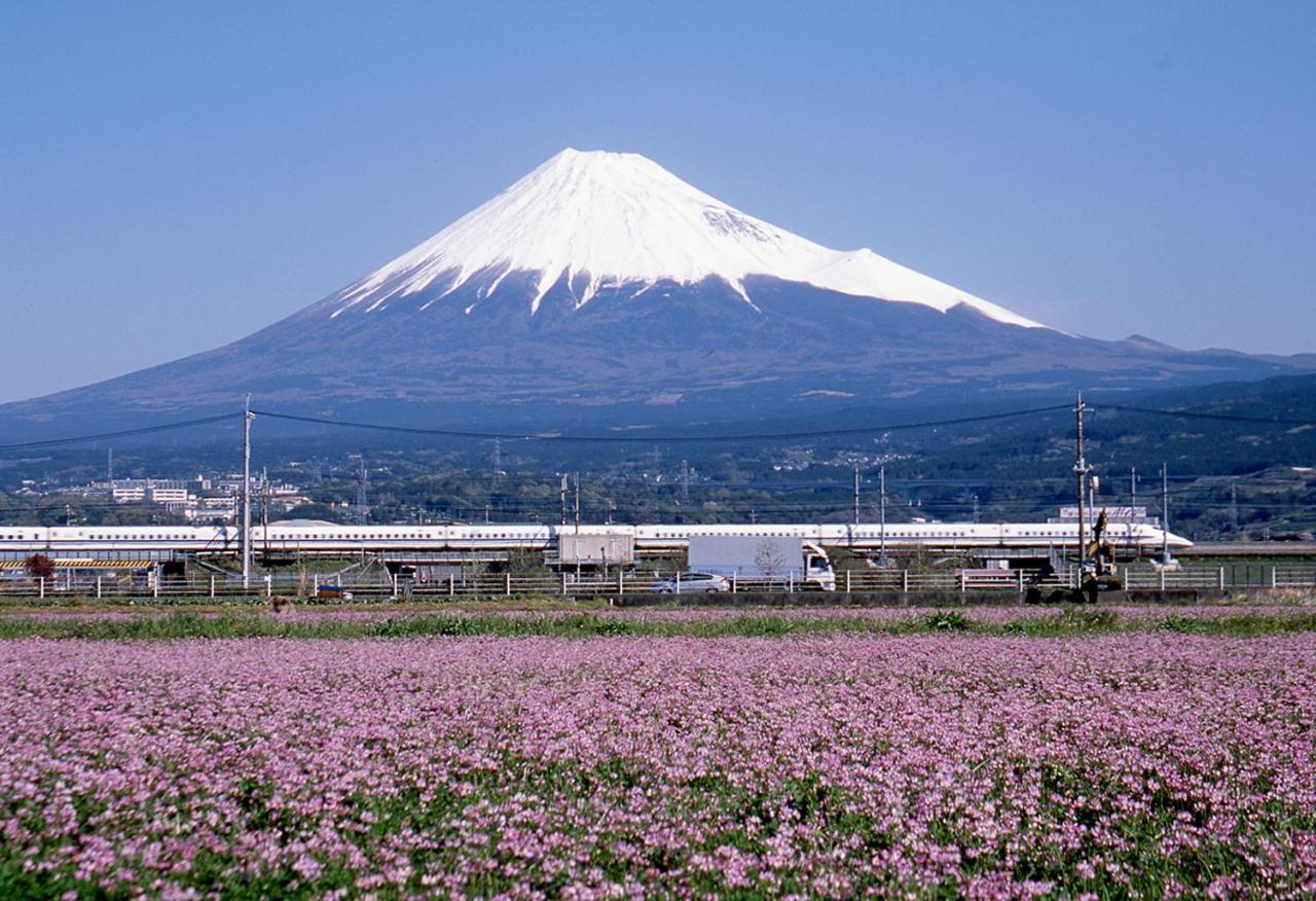 Business Hotel Sunpu Shizuoka Esterno foto